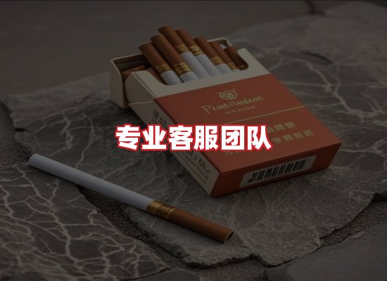 专业团队